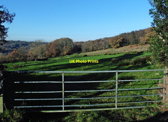 Photo 6"x4" Fields below Hillend Farm Luppitt c2016