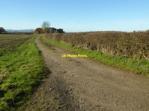 Photo 6"x4" Track and footpath Defford\/SO9143 c2016