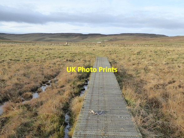 Photo 6"x4" Boardwalk on the Pennine Way Langdon Beck\/NY8531 c2016