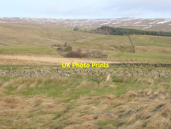 Photo 6"x4" Upper Teesdale Langdon Beck\/NY8531 c2016