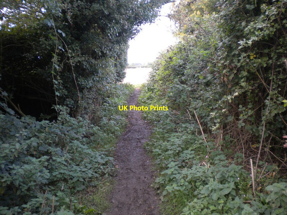 Photo 6"x4" Bridleway east of Caythorpe Caythorpe\/SK6845 c2016