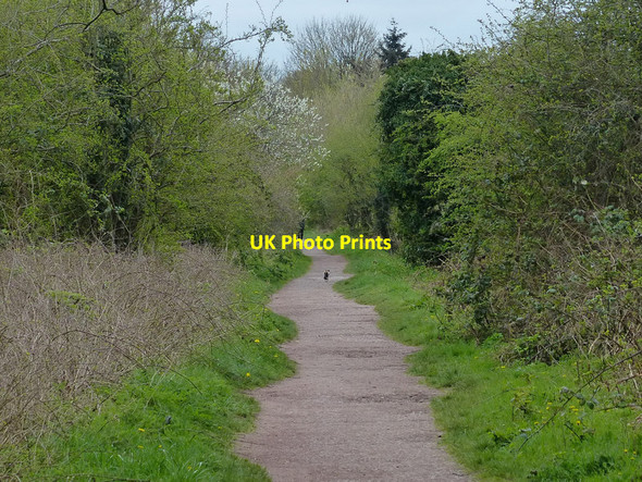 Photo 6"x4" South Staffordshire Railway Walk Wombourne c2016