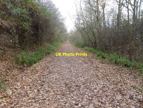 Photo 6"x4" Downs Link looking southwards Copsale c2016