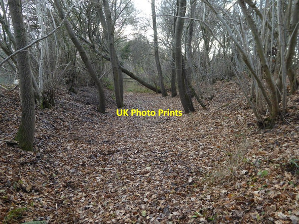 Photo 6"x4" Footpath heading southwards between Copsale Road and Downs Link Copsale c2016