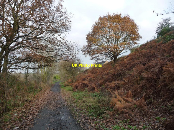 Photo 6"x4" Trans Pennine Trail, below Simons Way, Wombwell Low Laithes\/SE3804 c2016