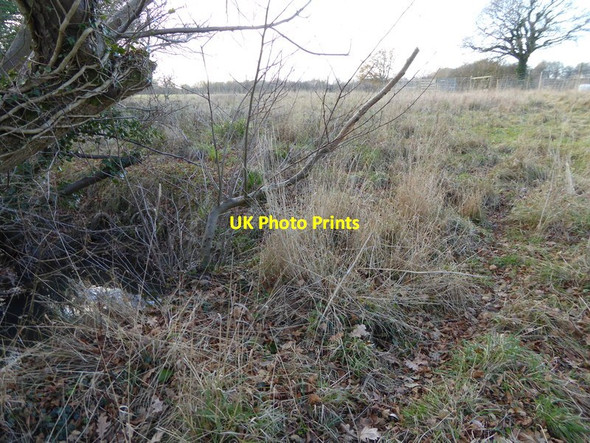 Photo 6"x4" Looking across field from stream Copsale c2016