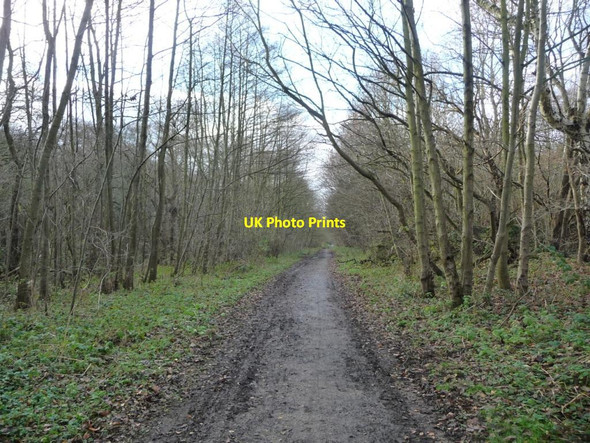 Photo 6"x4" Trans Pennine \/ Dove Valley Trail Worsbrough c2016