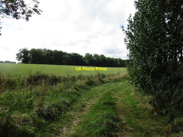 Photo 6"x4" Track and Westland Wood Exton\/SK9211 c2016