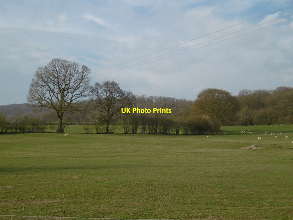 Photo 6"x4" Field by Lenacres Ford Broadmoor Common c2016