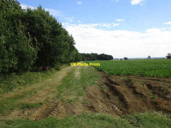 Photo 6"x4" The edge of Tunneley Wood Exton\/SK9211 c2016