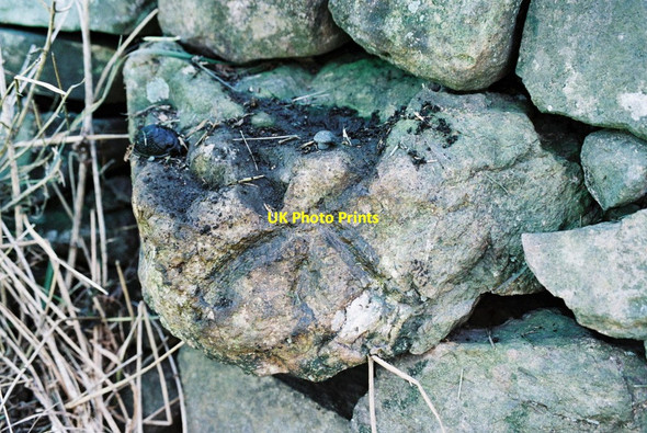 Photo 6"x4" Benchmark on A684 wall east of Hawkrigg Lane junction New Hutton c2009