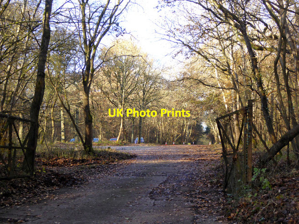 Photo 6"x4" West Wood - paintball terrain Barton Hartshorn c2016