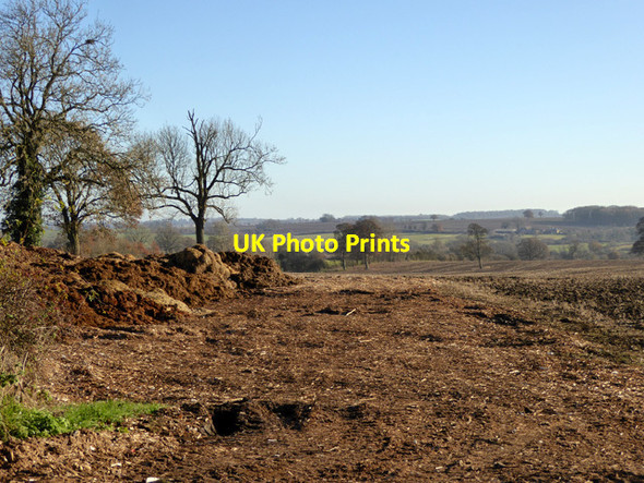 Photo 6"x4" Looking east, from road south of Bradden Abthorpe c2016