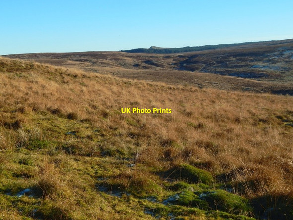 Photo 6"x4" Auchenreoch Muir Bonhill c2016