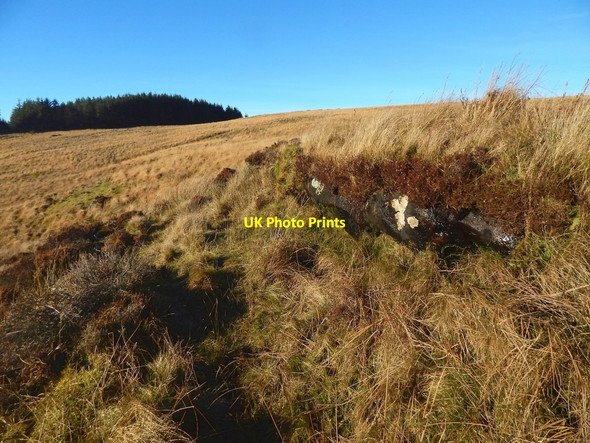 Photo 6"x4" Limestone outcrop Bonhill c2016