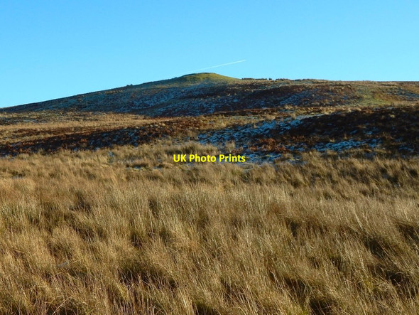 Photo 6"x4" The hill Knockshanoch Bonhill c2016