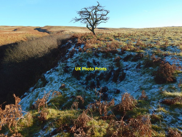 Photo 6"x4" Bomb crater in the side of Hazel Glen Bonhill c2016