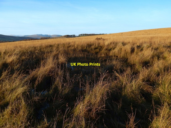 Photo 6"x4" Bomb crater Dumbarton c2016