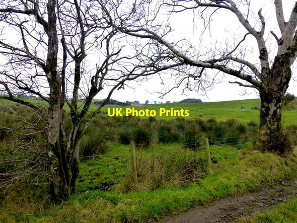 Photo 6"x4" Rough ground, Bancran Beragh c2016