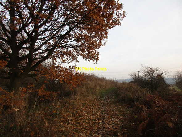 Photo 6"x4" Bridleway from Knottingley Cridling Stubbs c2016