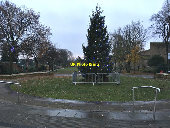 Photo 6"x4" Beeston Christmas tree 2016 Beeston\/SK5236 c2016