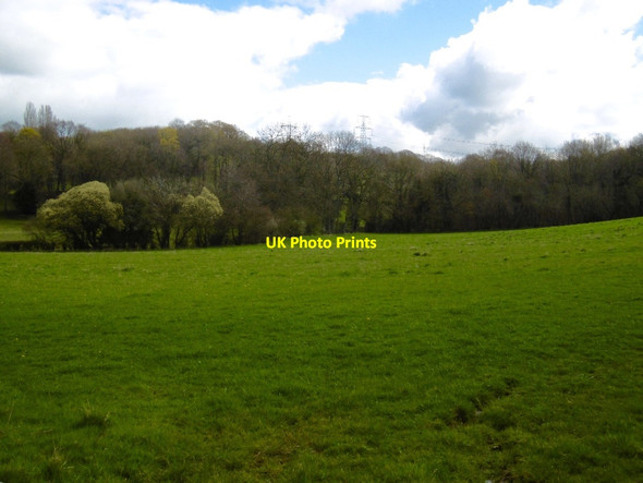 Photo 6"x4" Field, Aston Ingham Aston Ingham c2016