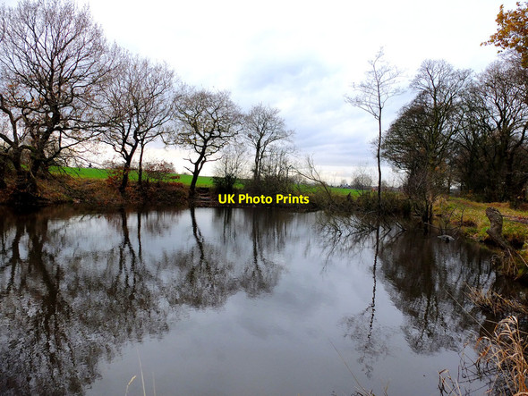 Photo 6"x4" Fish pond South of Blainscough Hall, Coppull Moor Coppull Moor c2016