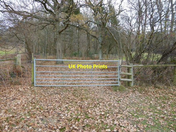 Photo 6"x4" Field gate on footpath as woodland is entered Nuthurst\/TQ1926 c2016