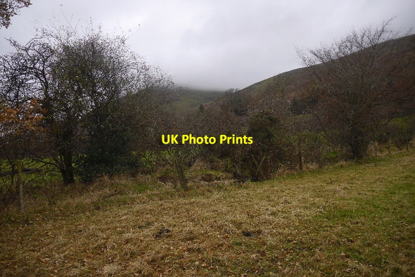 Photo 6"x4" Blackhornduff Burn Tillicoultry c2016