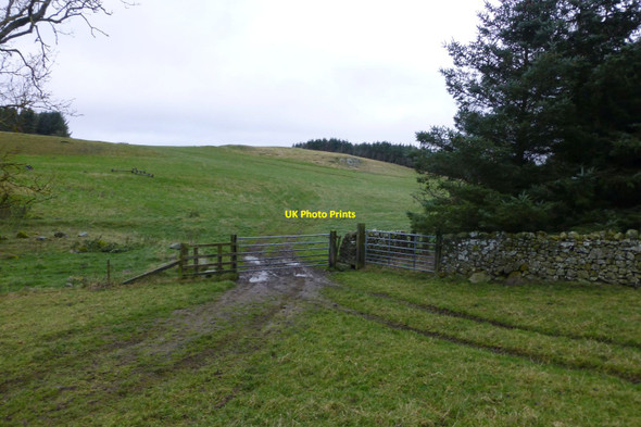Photo 6"x4" Gateway between pastures Hoselaw c2016