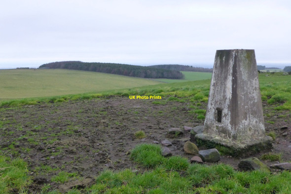 Photo 6"x4" Trig point on Camp Hill Hoselaw c2016