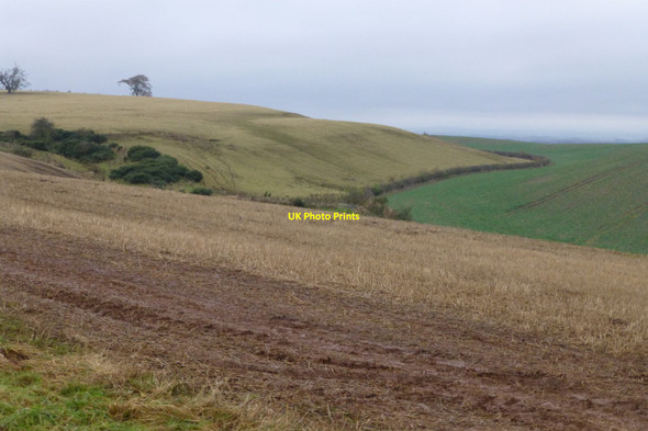 Photo 6"x4" Arable fields Pressen c2016