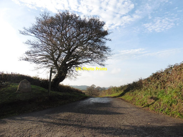 Photo 6"x4" Turning for Chibley Farm Chillington\/ST3811 c2016