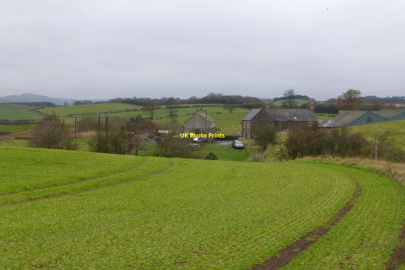 Photo 6"x4" Hagg farm Downham\/NT8633 c2016