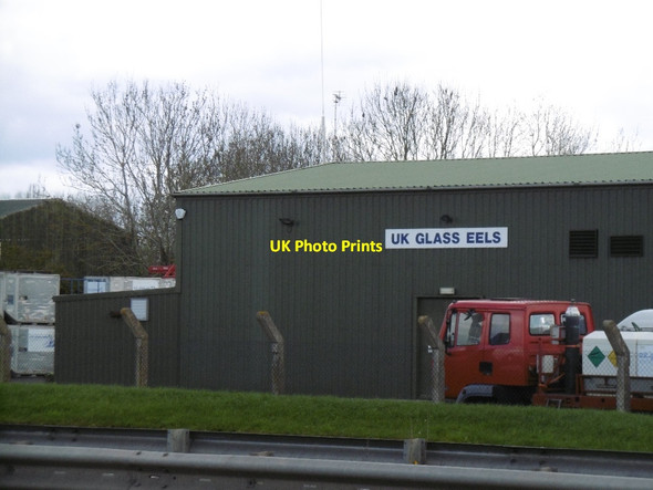 Photo 6"x4" UK Glass Eels Gloucester c2016