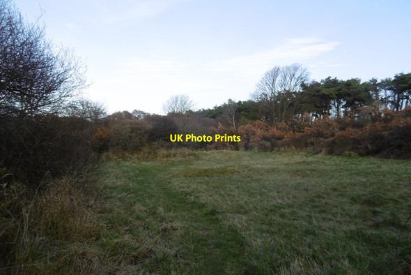 Photo 6"x4" Clearing, Gullane Bents Gullane c2016
