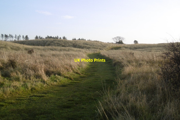 Photo 6"x4" Path, West Links Dirleton\/NT5183 c2016 P1