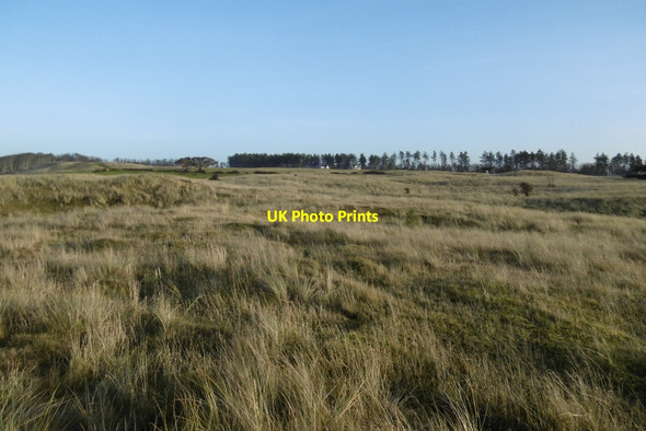 Photo 6"x4" West Links to Archerfield Dirleton\/NT5183 c2016