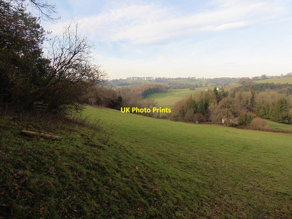 Photo 6"x4" Hillside above Chalkway Chalkway c2016