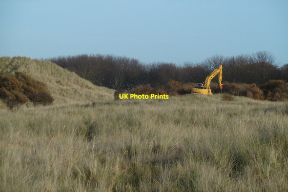 Photo 6"x4" Clearing buckthorn, West Links Dirleton\/NT5183 c2016