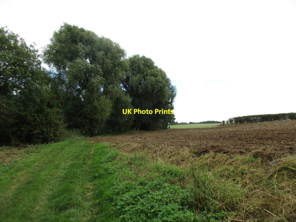 Photo 6"x4" Footpath and field edge near Greetham Greetham\/SK9214 c2016
