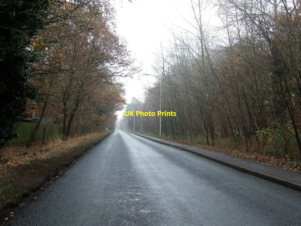 Photo 6"x4" Brandon Road Mildenhall\/TL7175 c2016
