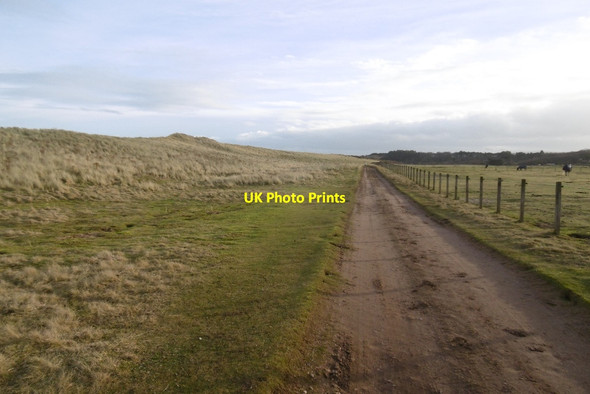 Photo 6"x4" Road, Lochhouses Links Whitekirk c2016
