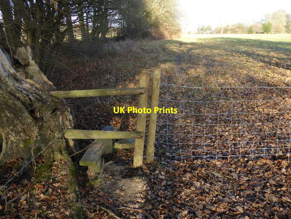Photo 6"x4" Footpath goes north from stile Southwater Street c2016