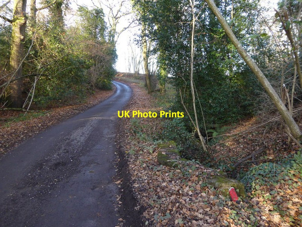 Photo 6"x4" Jackrells Lane goes north from stream Copsale c2016