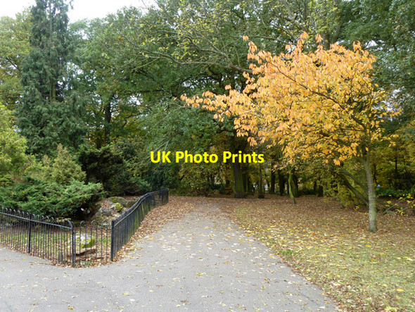 Photo 6"x4" In Forster Park Catford\/TQ3873 c2011