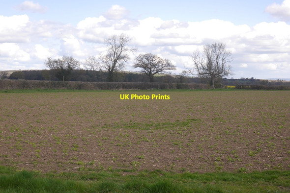 Photo 6"x4" Field, Netley Dorrington\/SJ4702 c2016