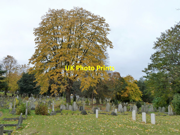 Photo 6"x4" In Hither Green Cemetery Catford\/TQ3873 c2011 P2