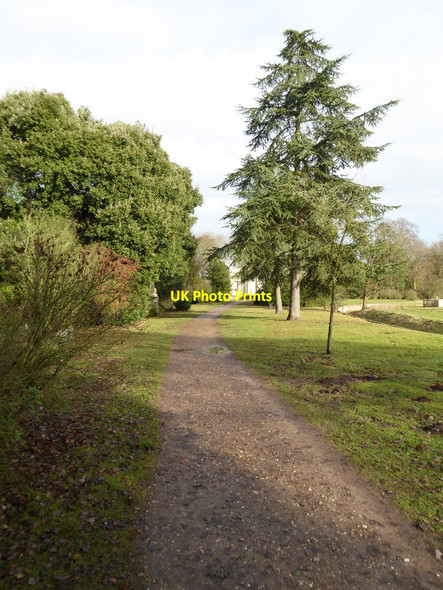 Photo 6"x4" Path in Croome Park Dunstall Common c2016