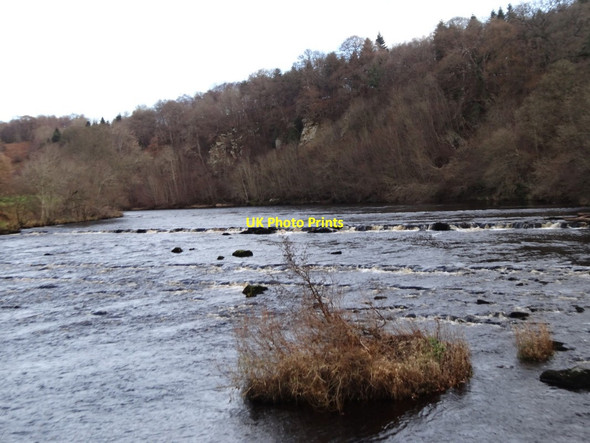 Photo 6"x4" Rapids on the River North Tyne from Devil's Leap Birtley\/NY8778 c2016 P1